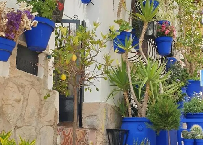 El Barrio , Playa Y Casco Antiguo